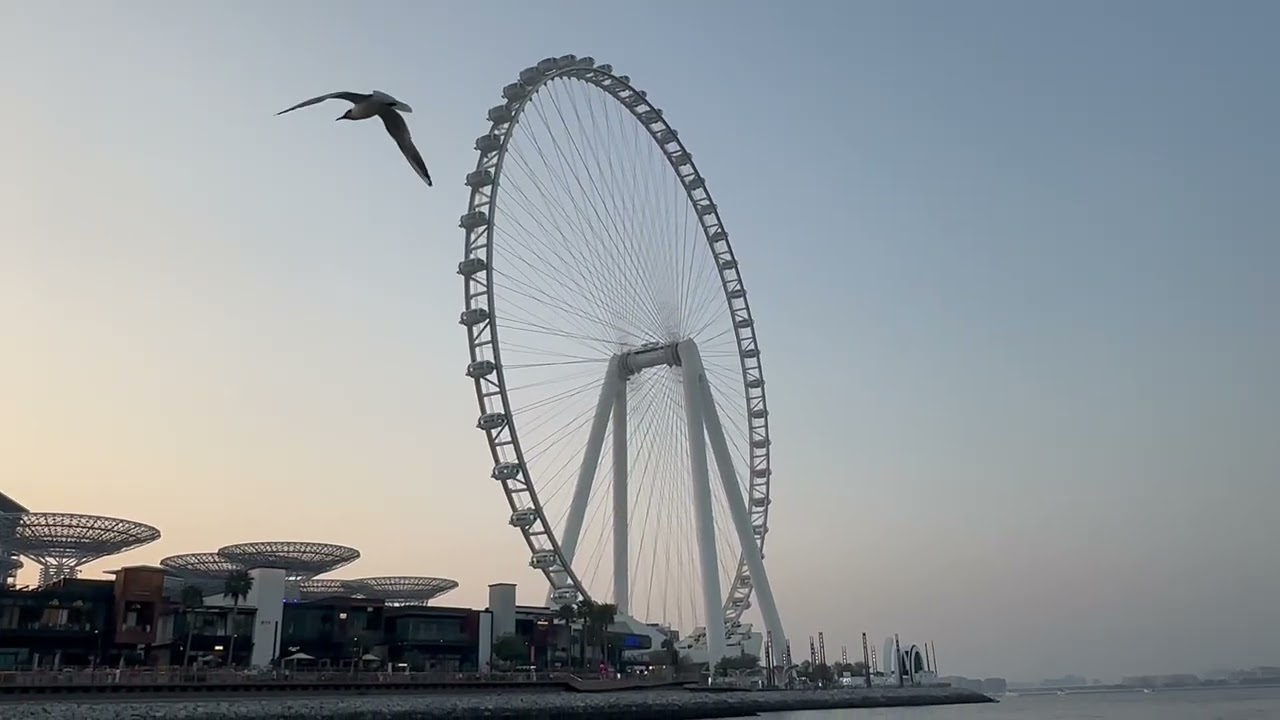 28/2/26 наш спокойный круиз в Дубай Марине 