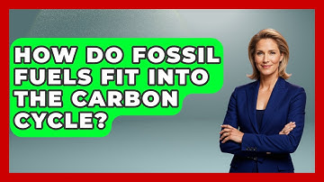 How Do Fossil Fuels Fit Into the Carbon Cycle? | Explaining Ecology News