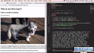 HTML: 8  Attributes