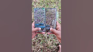 Vivo V40 vs Vivo T3 Ultra Camera Test 🔥 Daylight & Night Shots Comparison 📸 | Best Camera Phone?