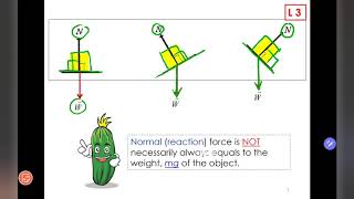 Details SP015 LESSON 3b Update