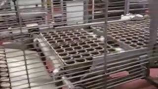 Pan Dumping Conveyor System