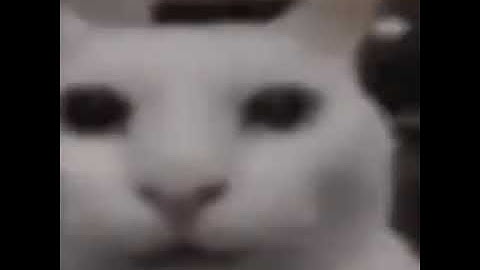 That one cat and evil cat thing meme with the Beep Block Skyway theme from Super Mario 3D World