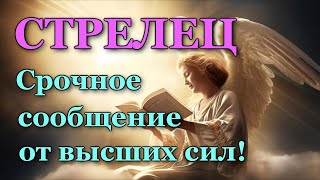 СТРЕЛЕЦ 💌 СРОЧНОЕ СООБЩЕНИЕ от 🙏ВЫСШИХ СИЛ!💯 УЗНАЙТЕ, ЧТО ГОТОВИТ ВАМ СУДЬБА! ТАРО ПРОГНОЗ ГАДАНИЕ 🍀