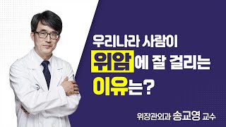 위암에 잘 걸리는 이유는? | 서울성모병원 송교영 교수