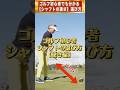 【ゴルフ初心者】がシャフトを選ぶ方法【硬さ】 #shorts #ゴルフレッスン #ワールドワイドゴルフ #ゴルフスイング