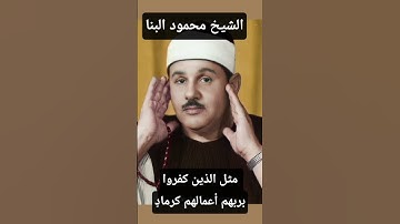 مثل الذين كفروا بربهم أعمالهم كرماد- الشيخ محمود علي البنا سورة إبراهيم #قرآن_كريم #البنا #تيك_توك