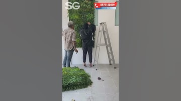 Thi công tường cây giả - Cỏ nhân tạo dán tường Gò Vấp - #Shorts