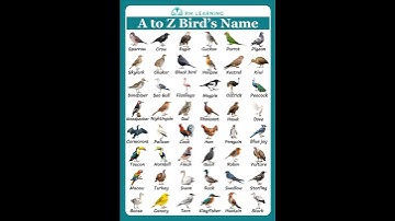 Birds Name English Vocabulary #birds #shortsfeed #rmlearning