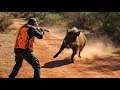 Hunting Wild Boar Season 2026 KEMISSET SIDI BOUDARGA PART 5 
