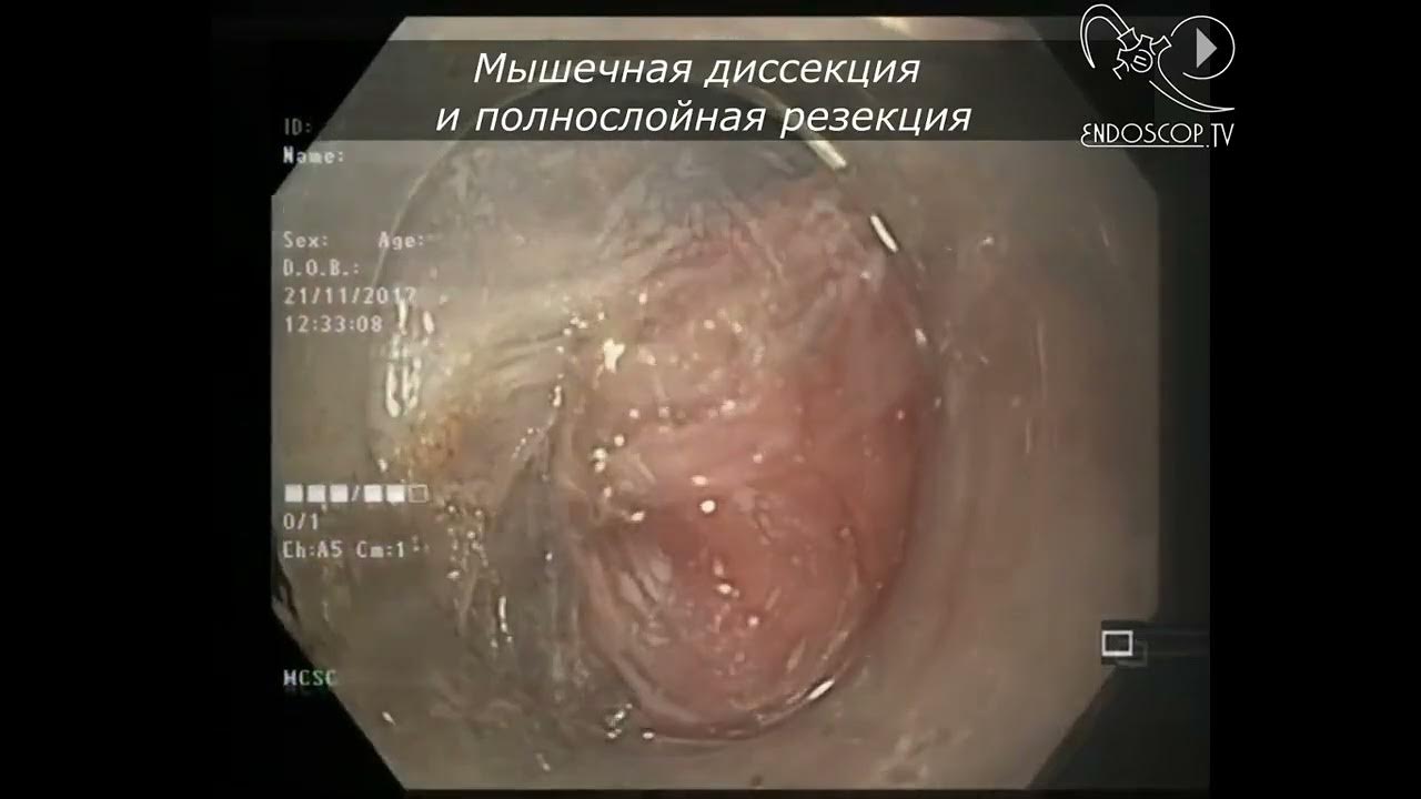 Әлемдегі ең үлкен порно Орыс порносы: Апай жиеніне есегін көрсетті