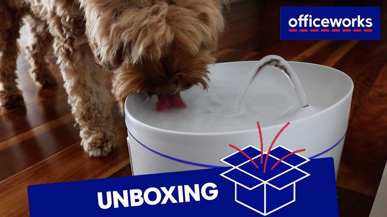 Dogness Water Fountain Plus YouTube