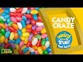 Candy craze  weird but truefast facts