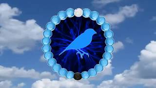 Berlanti Productionsparamount Televisionpoppy Productionsblue Canarycardinalmguwbtv 2019