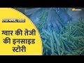 Commodities Live: ग्वार में जबरदस्त तेजी; जानिए ग्वार में कहां से आई तेजी |  Zee Business