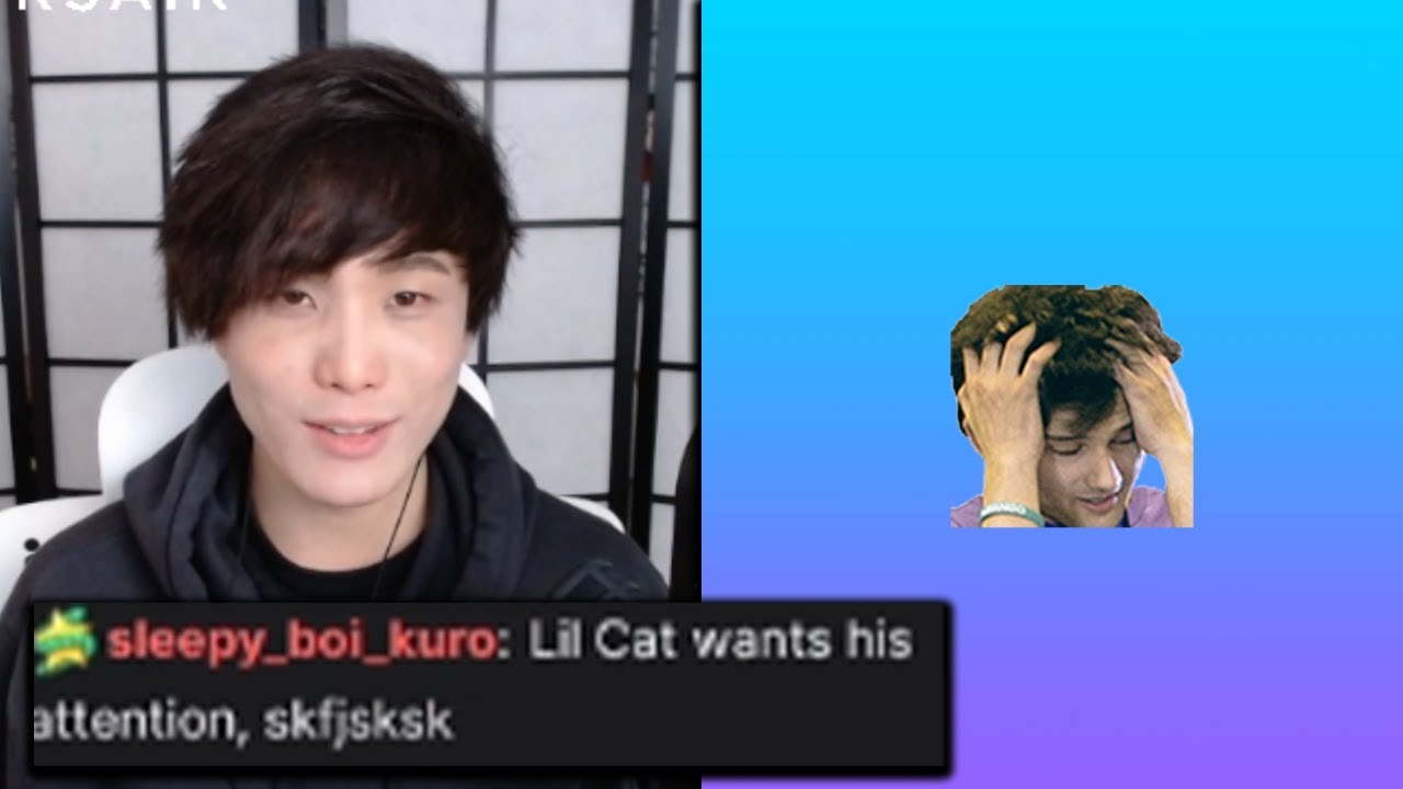 Lil Cat Turns Off Sykkuno's Computer while He Was Streaming