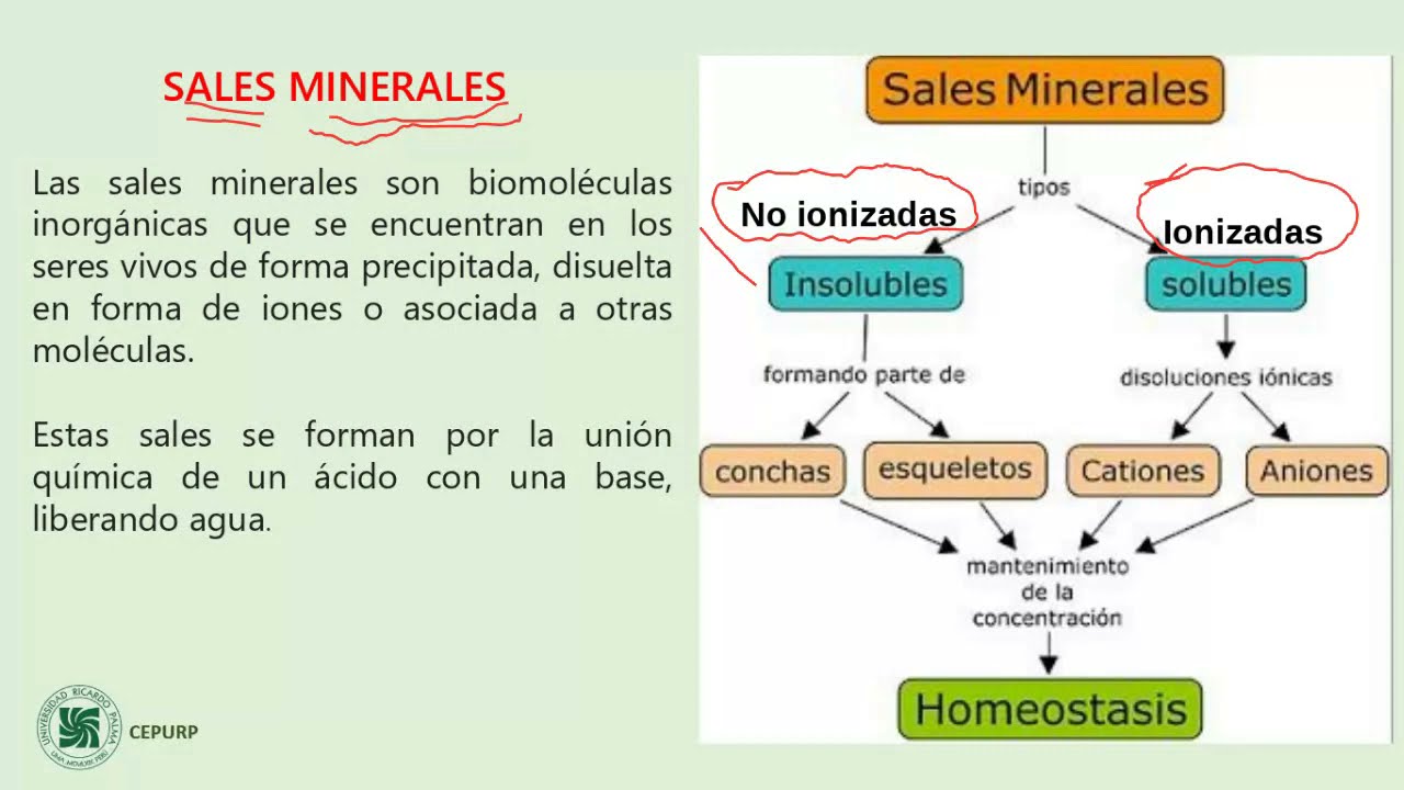 Arco Nevada Cansado Informacion Sobre Las Sales Minerales Prometedor