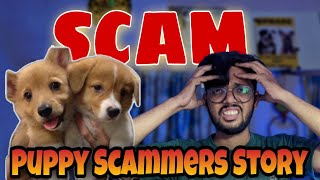 I GOT SCAM || MY STORY || INDIAN PET SCAMMERS EXPOSED by VLOGRSH 237 views 11 months ago 5 minutes, 57 seconds