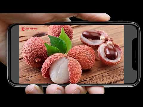 Mĩ thuật 8 bài 3 Vẽ tranh phong cảnh mùa hè_K8_2021 - 2022