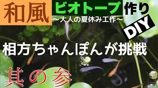 #120【メダカ飼育】和風ビオトープ作りに挑戦！其の参