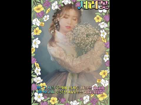 신곡 가수 성민지 첫 미니 앨범 수록곡 서리꽃 원곡 성민지 작사 고순옥 민정 작곡 공정식 영상 편집 장미꽃 힐링 2023 07 12