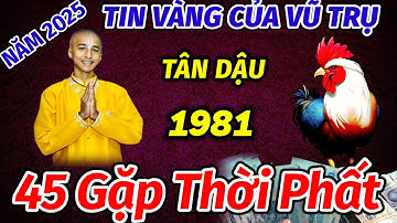 THÔNG ĐIỆP CỦA VŨ TRỤ GỬI ĐẾN TUỔI TÂN DẬU 1981. NĂM 2025 Ở TUỔI 45 NỔ LỘC TRÚNG LỚN TRỞ MÌNH GIÀU.