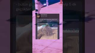 İnstagram - Twitter video #227 #tiktok #twitter #akımı Resimi