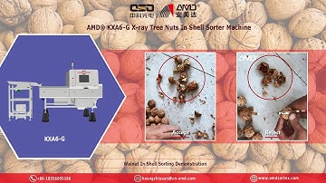 AMD® KXA6-G Tree Nuts In Shell X-ray Sorter Machine for Walnuts Shell Internal Sorting/Inspecting