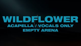 WILDFLOWER by Billie Eilish but its acapella / vocals only empty arena audio