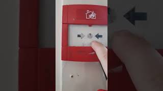 system test 11