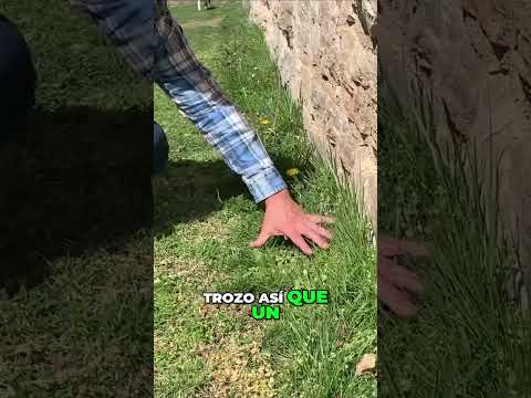Cómo cortar el
