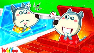 I Built SECRET Rooms In ONE COLOR | Funny Challenge for Kids | Cartoons Kids | Wolfoo Family