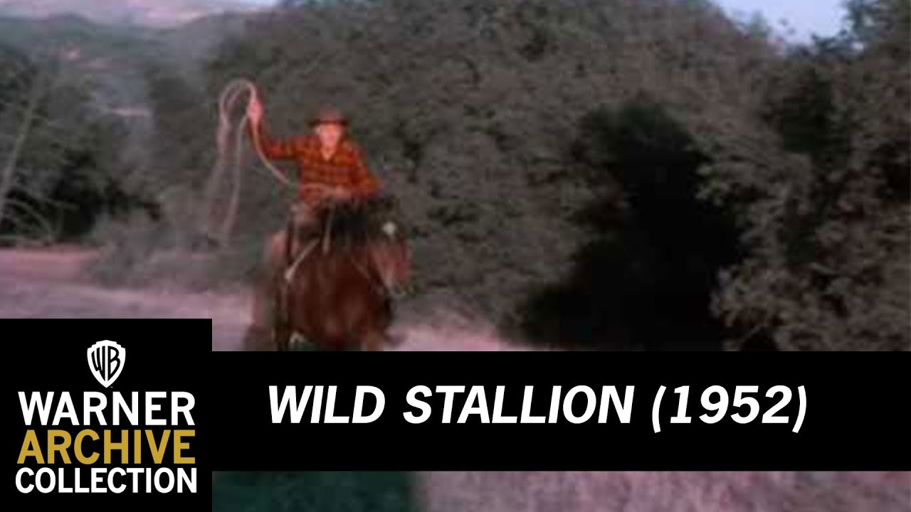 Preview Clip | Wild Stallion | Warner Archive