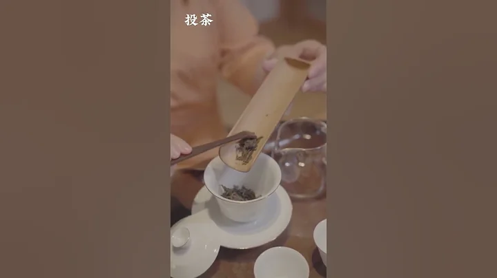 新手怎麼去沖泡茶？初學者必看！新手也能泡壹杯好茶  wechat：zj4867#召喚茶友 #喝茶 #普洱茶 - 天天要聞