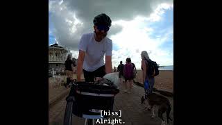 Hiss of the Day 33. Seaside greyhound? Absolutely not.
