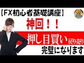 【初心者FX講座】「神回!押し目買い戻り売りが完璧にできる!」【投資家プロジェクト億り人さとし】