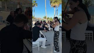 Taylor Swift on violin &amp; cello for a wedding ceremony 🤍 | Paradisus, Los Cabos