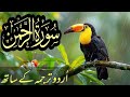 SURAH RAHMAN TARJUMA KE SATH | Epi 366 | Tilawat For Mind Relaxing