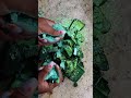 Dyed Chalk Crumble #oddlysatisfying #fullblockgymchalkcrushing #asmrtriggers #satisfying