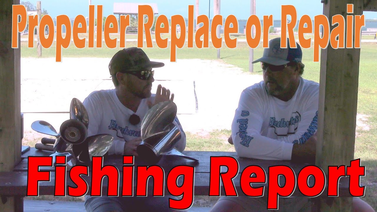 Top Hooking Shiners for Live Bait 