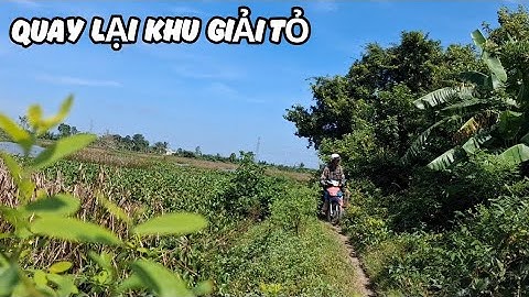 Quay Lại Khu Vực Cần Thơ Nước Chưa Rút Cá Dưới Kênh Vẫn Còn Nhiều 