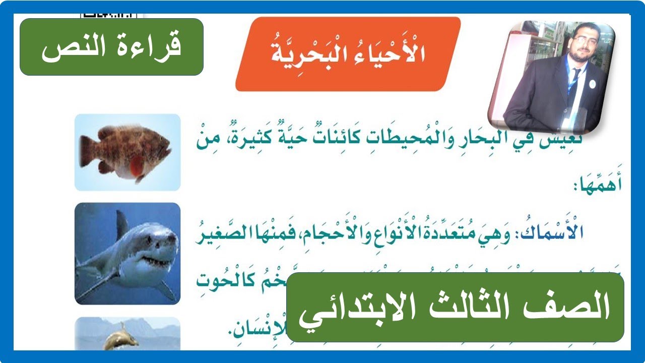 الأحياء البحرية الصف الثالث الابتدائي لغتي قراءة النص