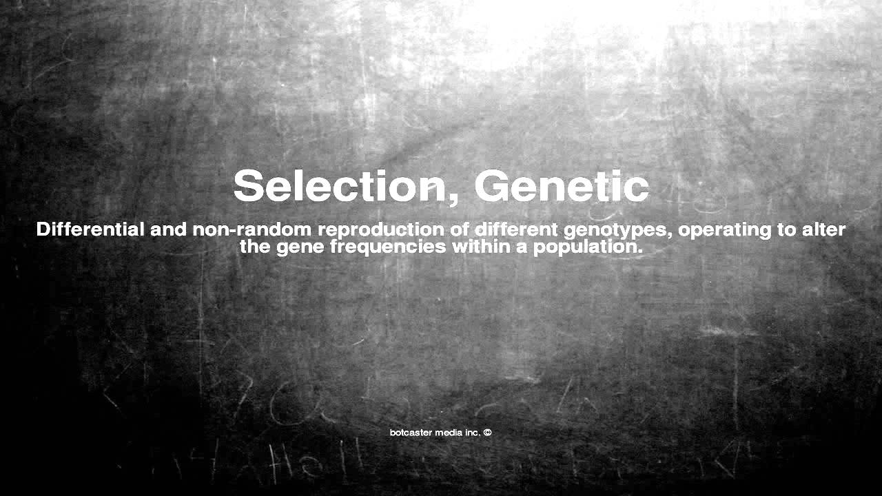 Medical Vocabulary What Does Selection Genetic Mean YouTube
