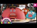 Gumball | The Law | Cartoon Network