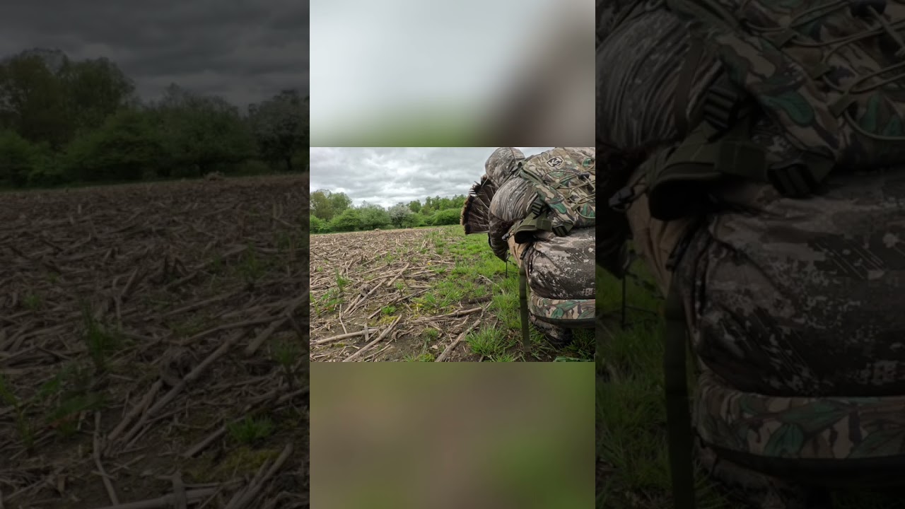 Turkey Hunt: Are YOU A REPEAPER?!