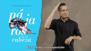 Exposición temporal 'Pájaros en la cabeza'.