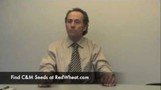 Wheat School: Early Season Nitrogen Management of Winter Wheat in Ontario