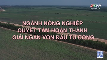 Ngành nông nghiệp quyết tâm hoàn thành giải ngân vốn đầu tư công | NHỮNG VẤN ĐỀ HÔM NAY | TayNinhTV