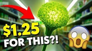 10 Things You SHOULD Be Buying at Dollar Tree in April 2026🤩🔥