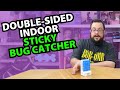 Best Non-Toxic Pest Trap? Testing WowCatch® Roach &amp; Spider Traps!